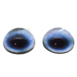 High Domed Blue Husky Dog Glass Eyes