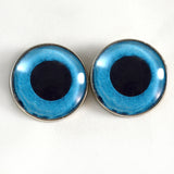 Sew On Buttons Blue Snow Owl Glass Eyes