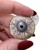 Tree Branches Fantasy Glass Eyes