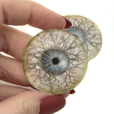 Tree Branches Fantasy Glass Eyes