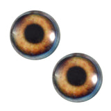 brown dog glass eyes