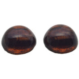 High Domed Brown Horse Glass Eyes