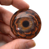 Brown PNW Pinecone Glass Eyes