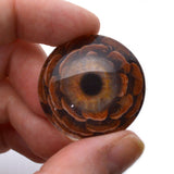 Brown PNW Pinecone Glass Eyes