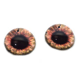 High Domed Brown Steampunk Clockface Glass Eyes