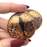 Copper Bullfrog Glass Eyes