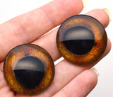 Corn Snake Reptile Glass Eyes