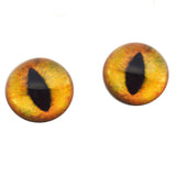 High Domed Creamy Orange Cat Glass Eyes