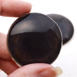dark brown realistic dog taxidermy glass eyes