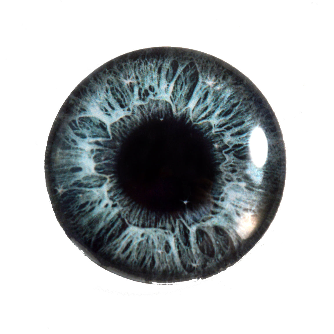 14mm Oval Glass Eyes - Grey