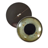 Sew On Buttons Eagle Glass Eyes