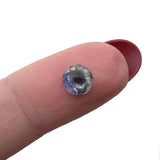 Planet Earth World Glass Eyes
