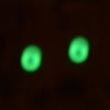 8mm Glow in the Dark Soft Blue Round Glass Eyes