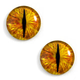 Golden Dragon Glass Eyes