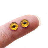 Golden Lion Glass Eyes