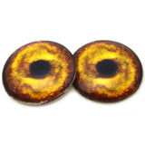 Golden Lion Glass Eyes