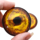 Golden Lion Glass Eyes