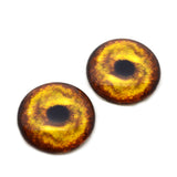 Golden Lion Glass Eyes