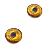 Golden Lion Glass Eyes