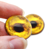 High Domed Golden Lion Glass Eyes
