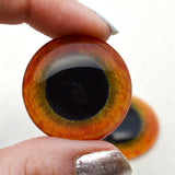 Great Horned Owl Bird Glass Eye for use in sculpture