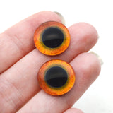 Great Horned Owl Bird Glass Eye for use in sculpture