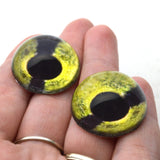 High Domed Green Sea Turtle Glass Eyes