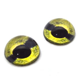 High Domed Green Sea Turtle Glass Eyes