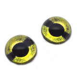 High Domed Green Sea Turtle Glass Eyes