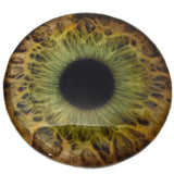 Large 78mm Hazel Human Glass Eyes