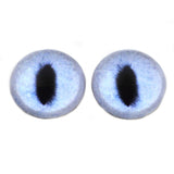 High Domed Realistic Pale Blue Cat Glass Eyes