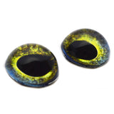High Domed Moray Eel Glass Eyes