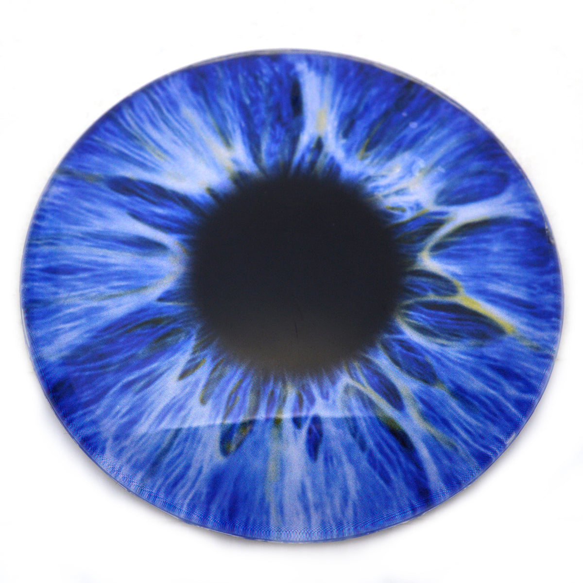 50mm Blue Human Glass Eyes - Large 2 Inch with Scleras – Handmade Glass Eyes