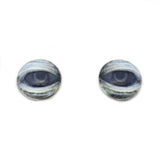 Lidded Green Sea Turtle Glass Eyes