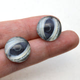Lidded Green Sea Turtle Glass Eyes