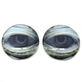 Lidded Green Sea Turtle Glass Eyes