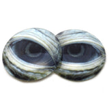 Lidded Green Sea Turtle Glass Eyes