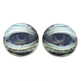 Lidded Green Sea Turtle Glass Eyes