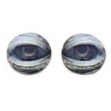 Lidded Green Sea Turtle Glass Eyes