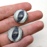 Lidded Green Sea Turtle Glass Eyes