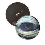 Lidded Green Sea Turtle Sew On Eyes