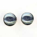 Lidded Green Sea Turtle Sew on Eyes