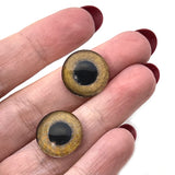 16mm Light Brown Tropical Owl Bird Glass Eyes