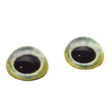High Domed Light Green Parrot Bird Glass Eyes