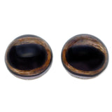 High Domed Medium Deer with Sclera White Band Glass Eyes