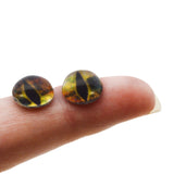 Momentous Galaxy Dragon Galaxy Glass Eyes