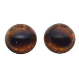 High Domed Brown Moose Glass Eyes
