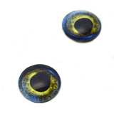 Moray Eel Glass Eyes