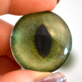 Moving green animated cat glass eyes