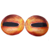 Orange Octopus Glass Eyes